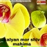 bhola nath