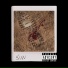S.I.W