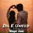Waqar Jaan