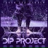 DIP Project