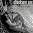 checksum one