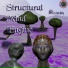 Structural Mind Engine