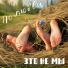 Это не мы