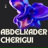 Abdelkader Cherigui