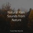 Pink Noise, Lluvia, Binaural Creations