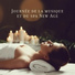 Ensemble de Musique Zen Relaxante