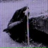 2003