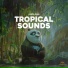 Panda Rain, Panda Sleep, Panda Music