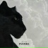 parker