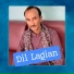 Saqib Ali Saqib