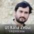Maqbool Aseer