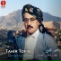 Tahîr tofîq