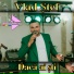 Vlad Stef