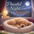 Dog Sleep Lab