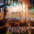 ZiDNB
