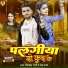 Vishwash Giri, Neha Raj