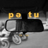 Petutino