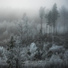 Norwegian Chill