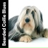 Calming for Dogs