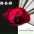 N.A.B