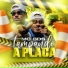 Mc BDS