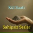 Sahipsiz sesler