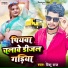 Rishu Raj