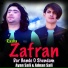 Adnan Safi, Ayan Safi