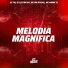 DJ 7W, DJ LEILTON 011, MC BM OFICIAL, MC ANDRÉ ZL