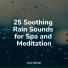 The Rain Library, Sampling XL, Rainforest