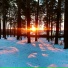 SkandiNavia