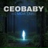 CEOBABY