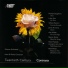 Miramar Sinfonietta