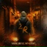 Zona Reversa