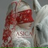 ASICA