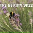 The Osho Lifestyle