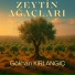 Gökhan Kırlangıç