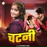 Nitu Sargam Yadav