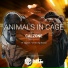 Animals In Cage