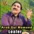 Arab Gul Momand