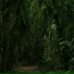 Echoes of Nature, Yoga, Cascada de Lluvia