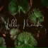 Lilly Mundo