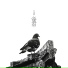 P-Type