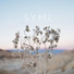 SYML