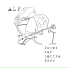 Alf