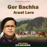 Gopal Babu Goswami