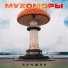 Мухоморы