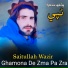 Saitullah Wazir