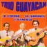 Trio Guayacan