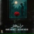 Hamid Hiraad feat. Meysam Akbari